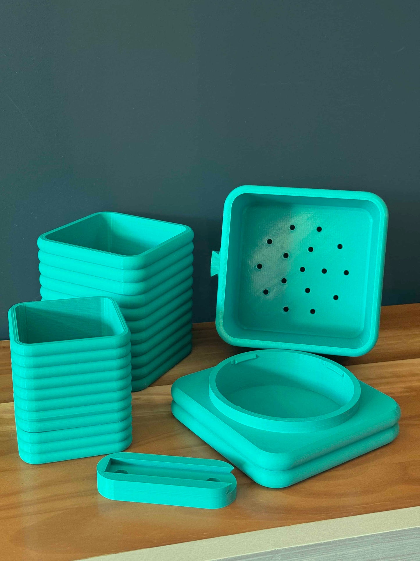 Vários tamanhos de vasos de Square Poppy